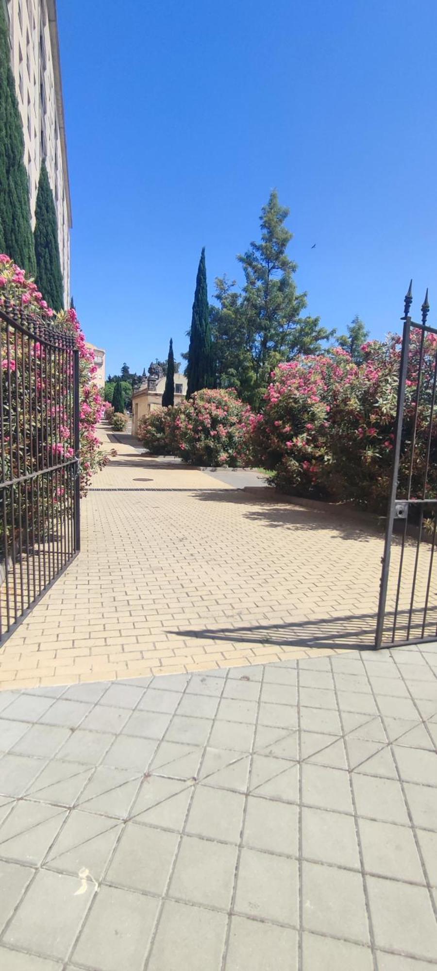Cuatro Caminos Centro Jerez Leilighet Jerez de la Frontera Eksteriør bilde